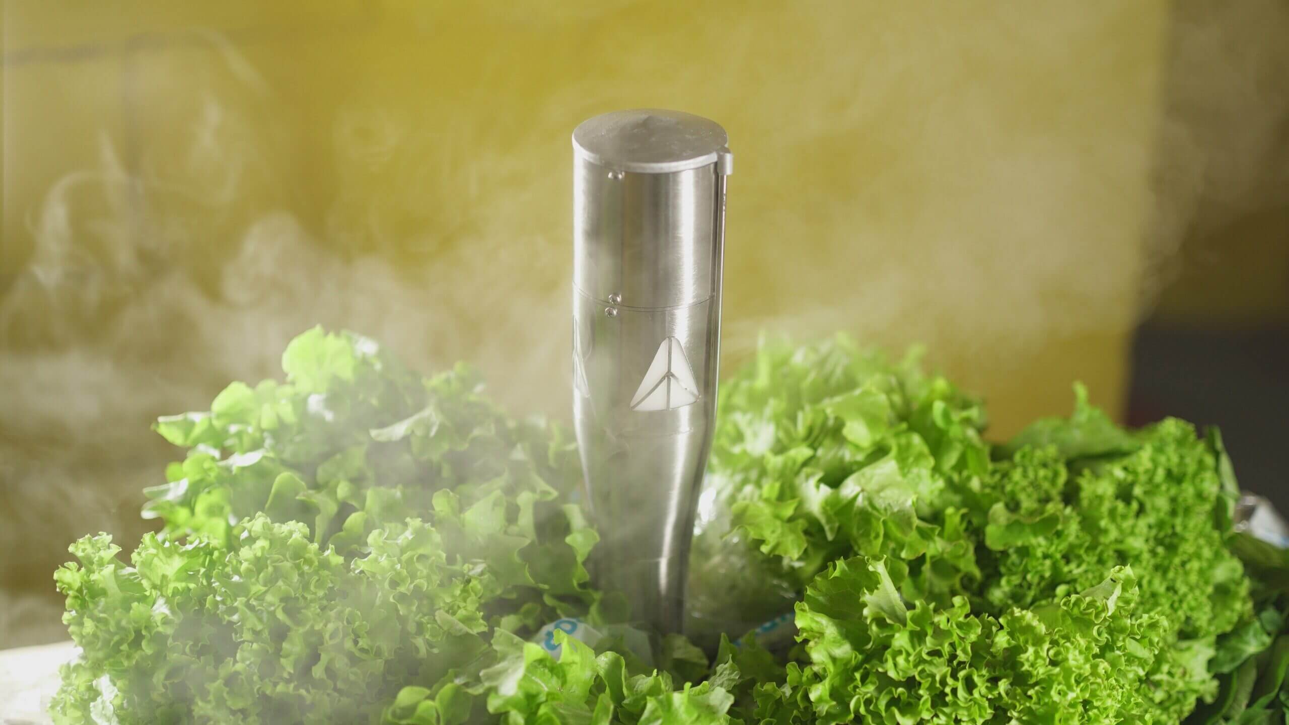 Featured image for “Desafios do Setor Hortifruti no Brasil e Como a Nebulização Pode Ajudar a Reduzir Perdas”